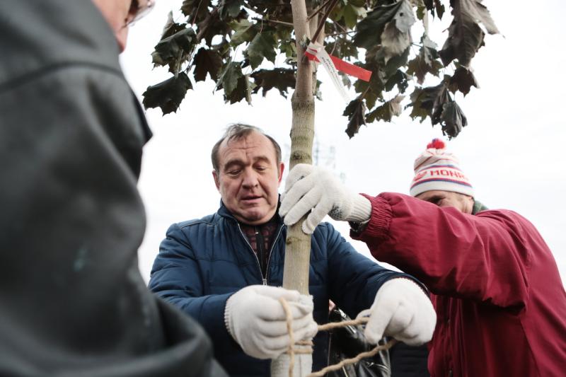 Петр Бирюков сажает деревья