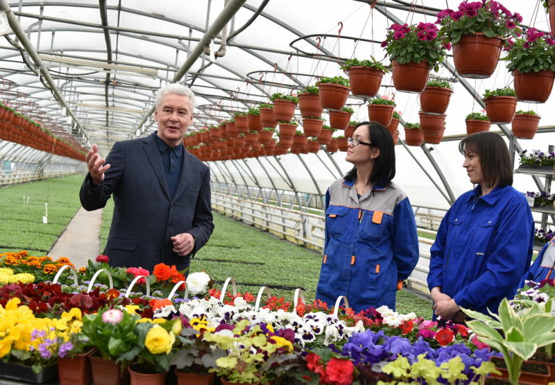 Мэр Москвы Сергей Собянин заявил, что в Москве зацветет 61 миллион цветов