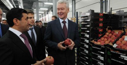 Ключевую роль в снабжении продовольствием Москвы сыграют агрокластеры