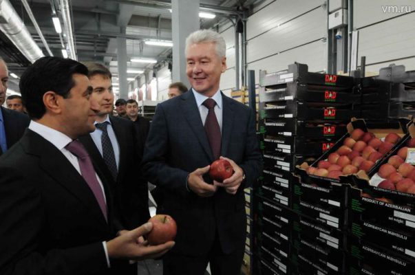 Ключевую роль в снабжении продовольствием Москвы сыграют агрокластеры