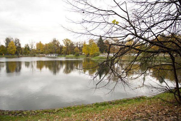 В московских парках будет работать лекторий «Здоровая Столица»
