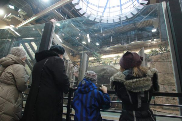 Гиды столичных музеев проведут 16 бесплатных экскурсий в Московском зоопарке