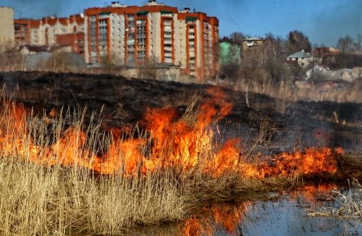 Внимание! Пожароопасный период, на территории Москвы введен особый противопожарный режим