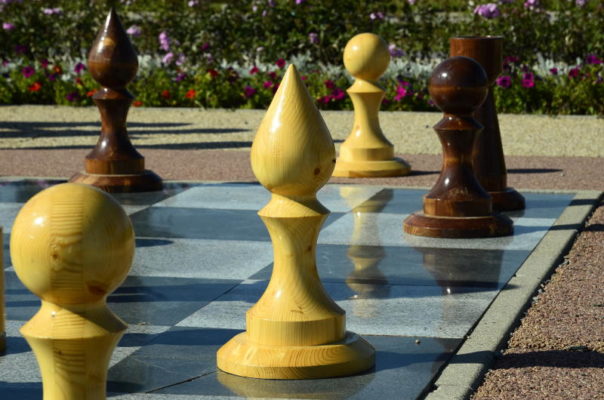 День шахмат на ВДНХ посетили 60 тысяч человек