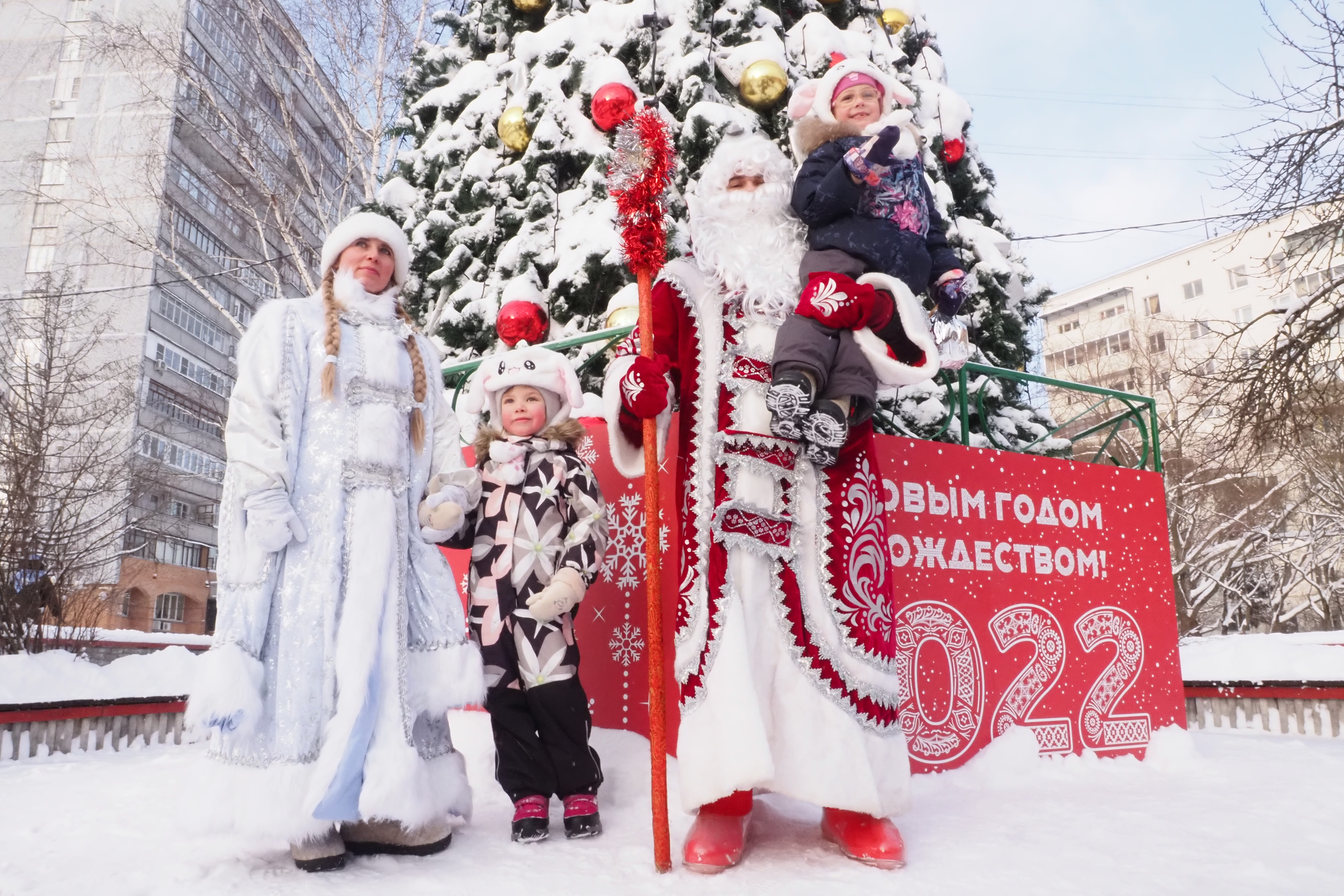 Алиса деда. Новогодняя кутерьма. Новый год в Подмосковье. Предновогодняя кутерьма. Снег, праздники?? Новый год, праздник.