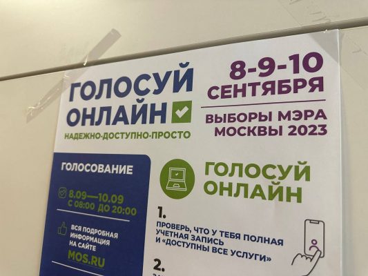 Ольга Шарапова: ДЭГ зарекомендовало себя, как удобный и быстрый инструмент участия в выборах