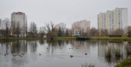 В Москве назвали самые популярные цифровые сервисы для малого бизнеса