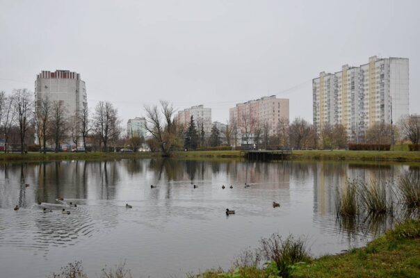 В Москве назвали самые популярные цифровые сервисы для малого бизнеса